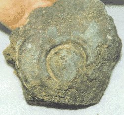 1991 6 ߰ߵ ȭȭ 밥(rivet) 