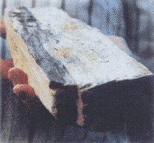 ȭ  