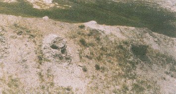  κ ȭ õ麸 ɼ  ְ ִ.
